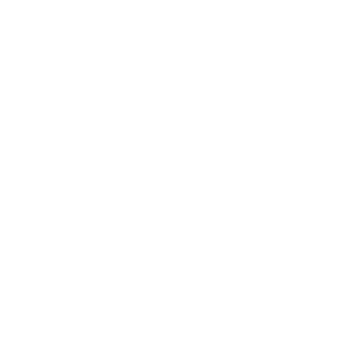 Minimalist globe icon representing World Number 2